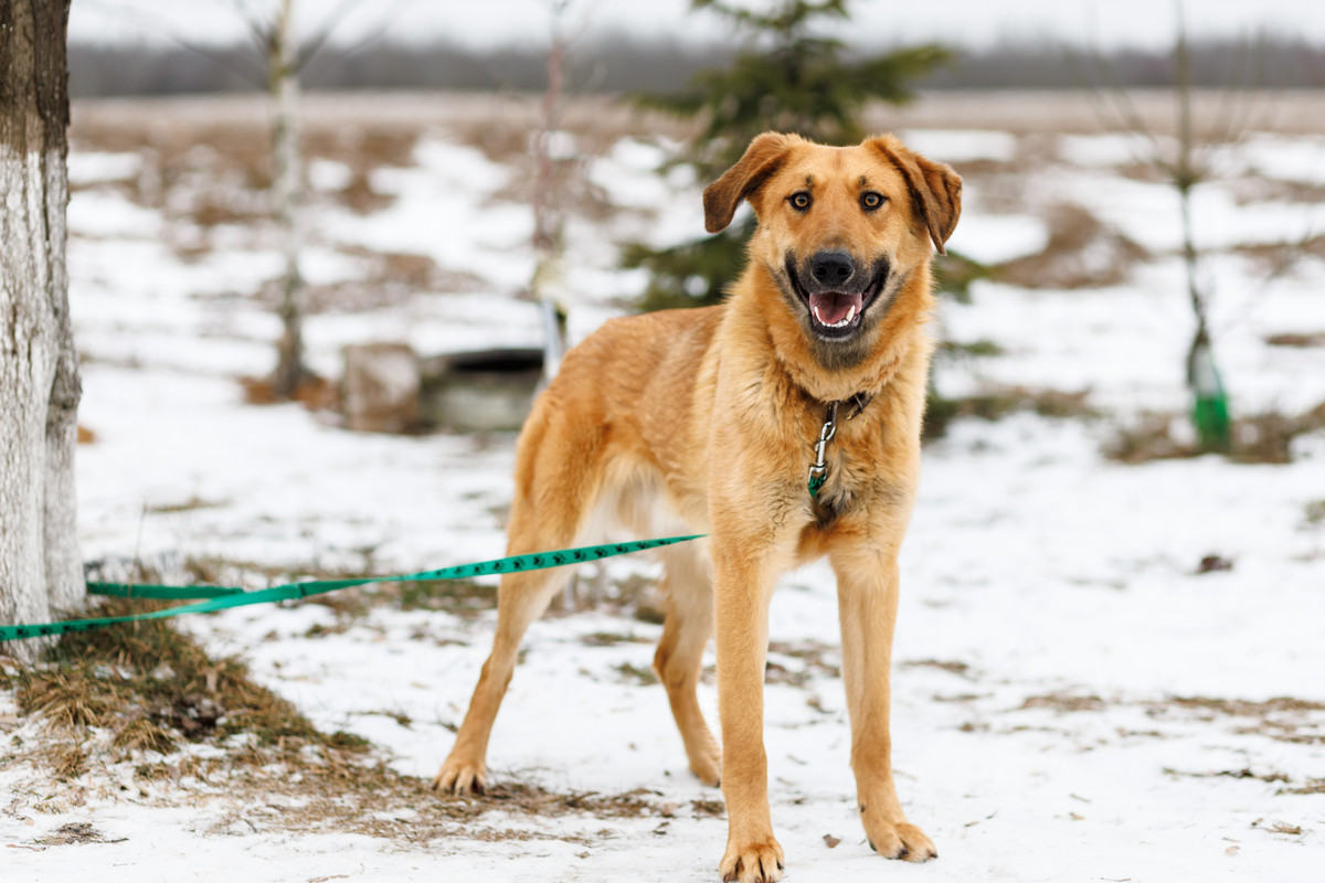 RRDaPGIDaq6DTzmuK1VD5CXwVkzVNmmfrYMWjsuVKY-V-1P5l18UpqpIu899wZWpCicAu8MSq2wwxjU08LpNLA==?uid=0&filen