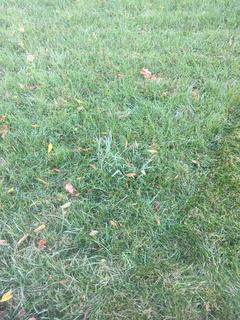 974D3BFD-25B6-4CA1-9DC1-0F24F7CA1080