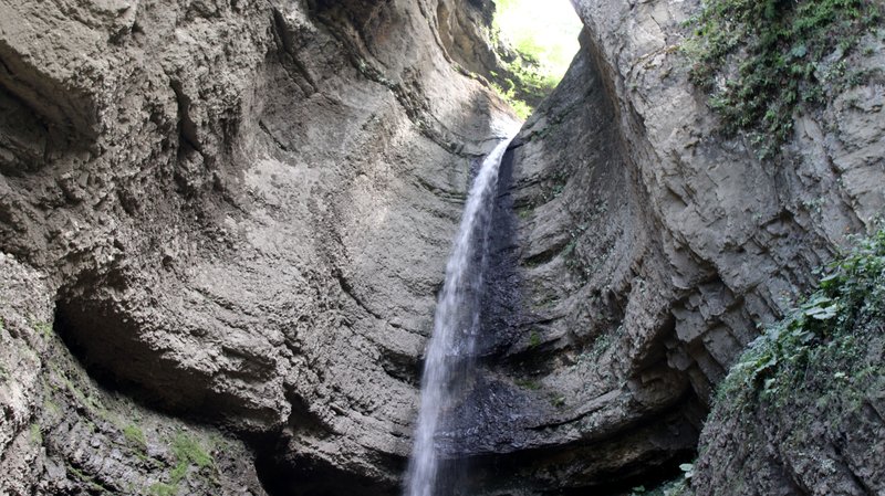 IMG-2694.jpg