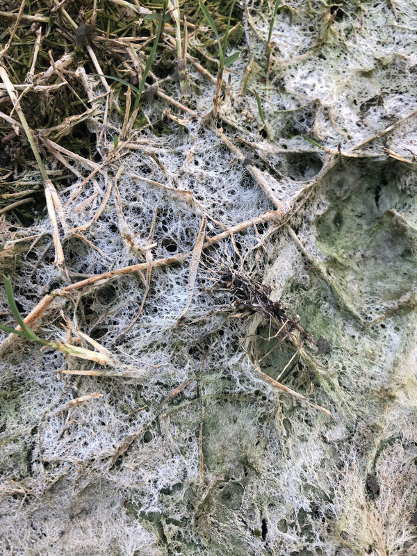 24FEC2F3-49D1-4BAA-9238-4159B548E748