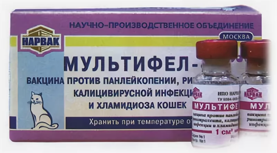 Мультифел Для Кошек Прививка Купить