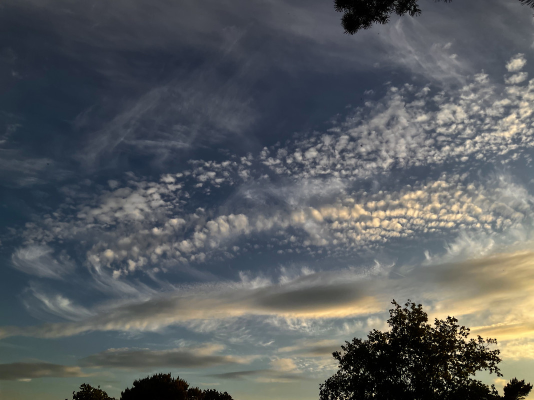 0B649715-628A-4104-8C10-81C465768C6C