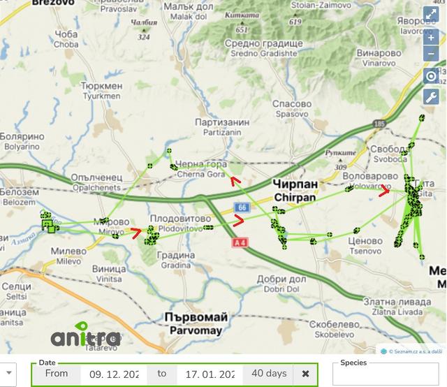 2026 01 17 krum last 40 days