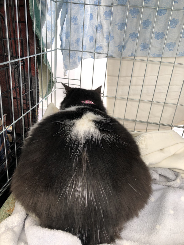 2AC27333-402C-4054-AC1C-85A7B57244E5