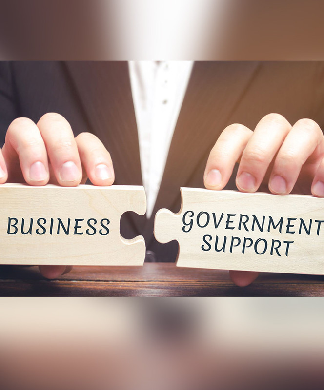 Government Incentives