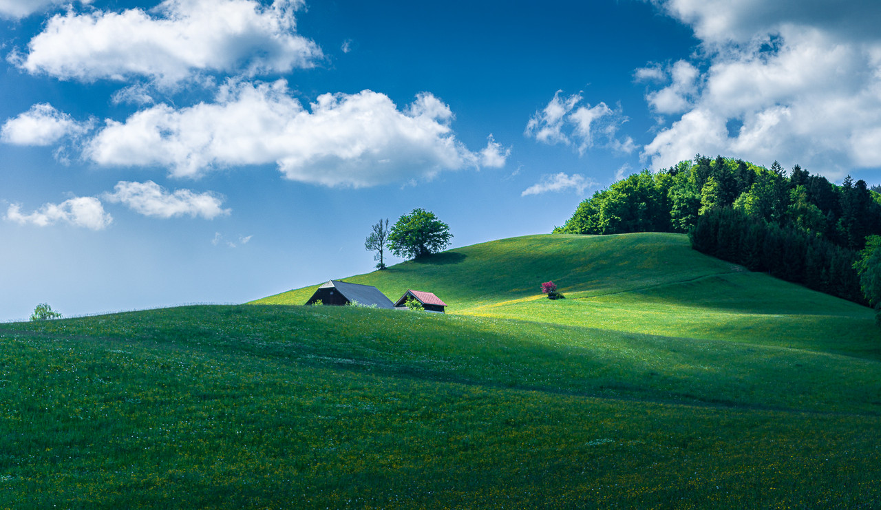 Obrázek