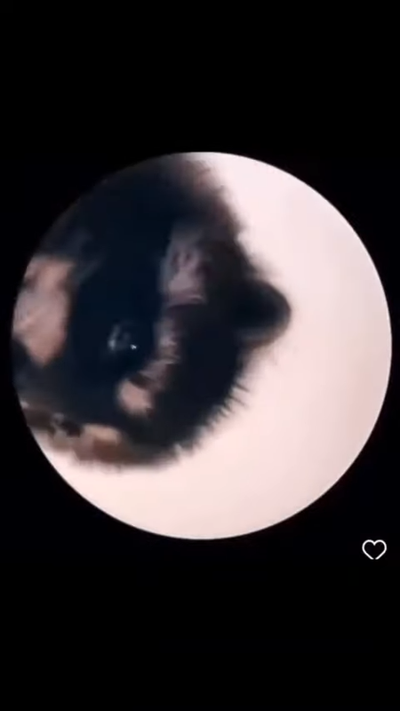 videoframe_4804