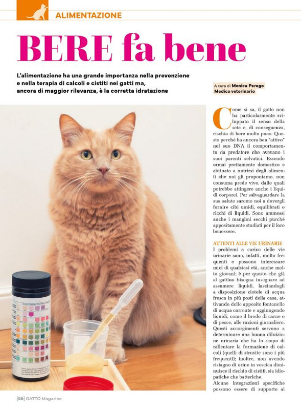 Ga Ma Apr-Mag 2025 (11)