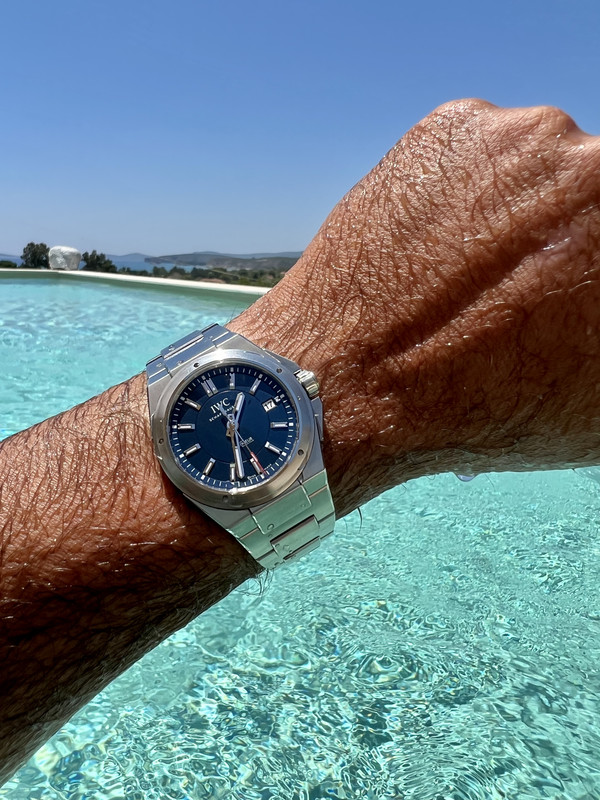 79804975-F254-4BA7-A8FF-66E31807D944