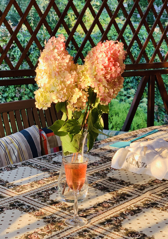 301BC495-3A63-4E7D-9D22-EB291922FE2C