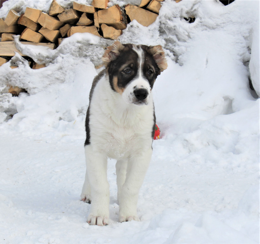 IMG 1879 — Postimages