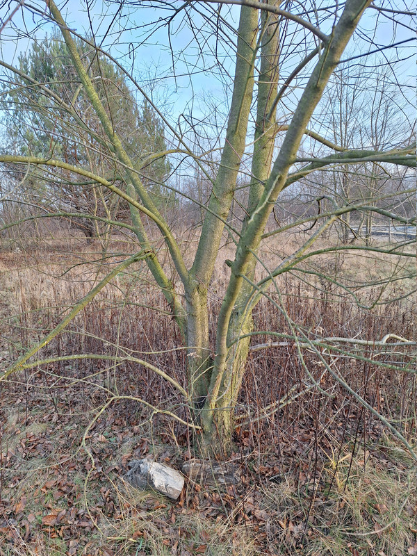 2025 12 14T14 18 39 01 00