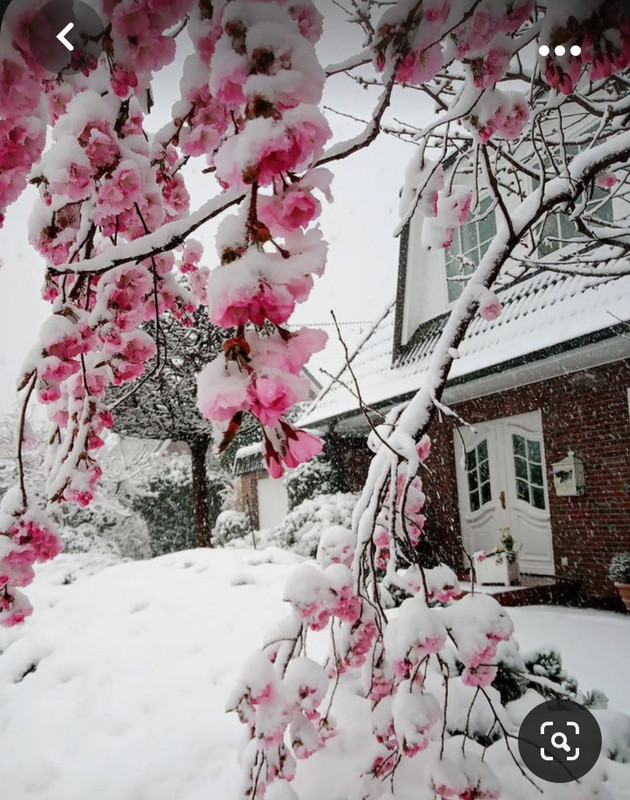 Screenshot_20231102_003956_Pinterest