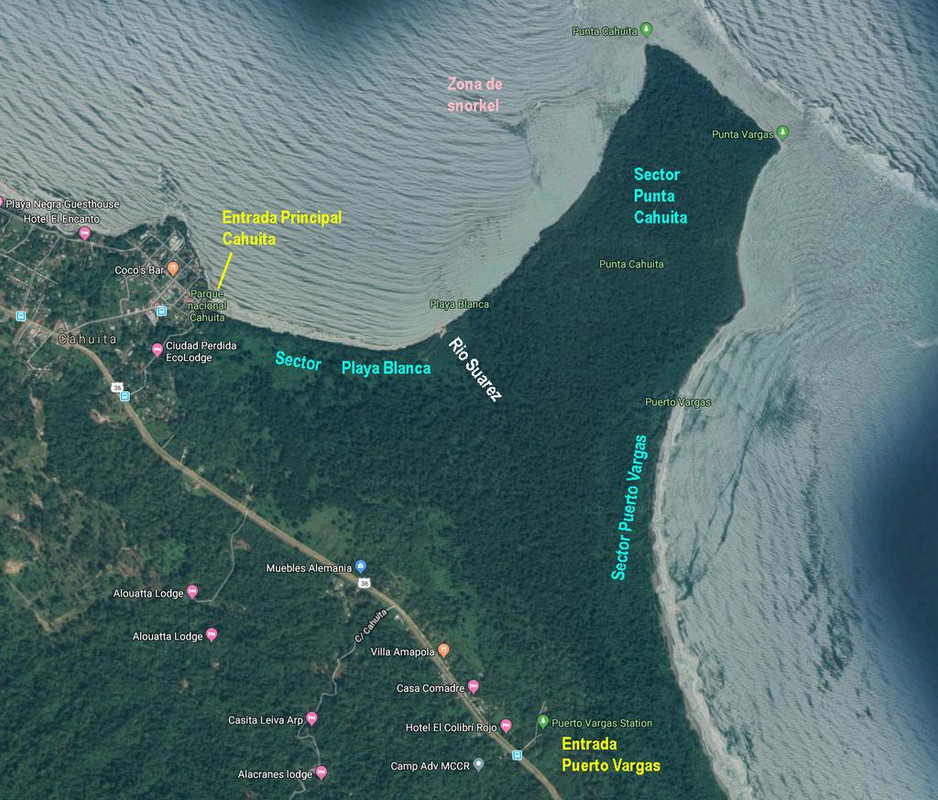 DE TORTUGAS Y PEREZOSOS. COSTA RICA 2019 - Blogs de Costa Rica - DÍA 5: PARQUE NACIONAL CAHUITA (6)