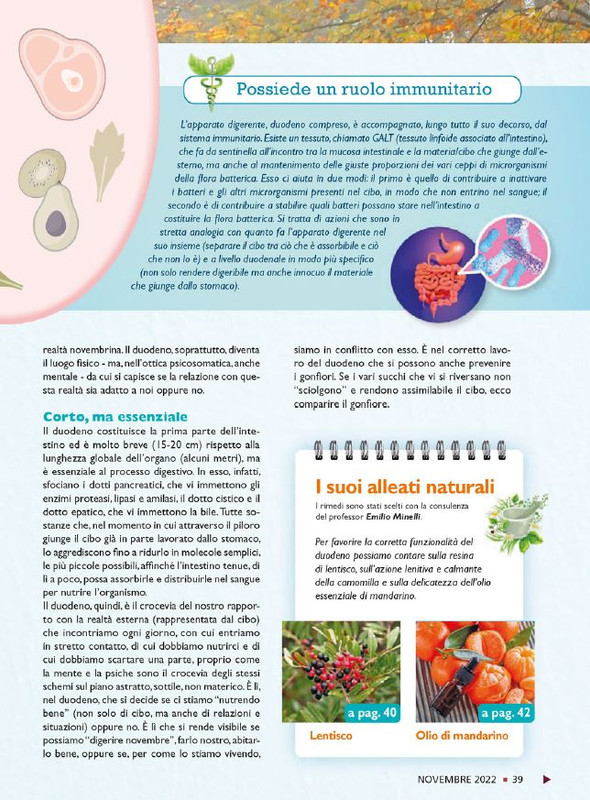 Sal Nat  Nov 2022 (4)