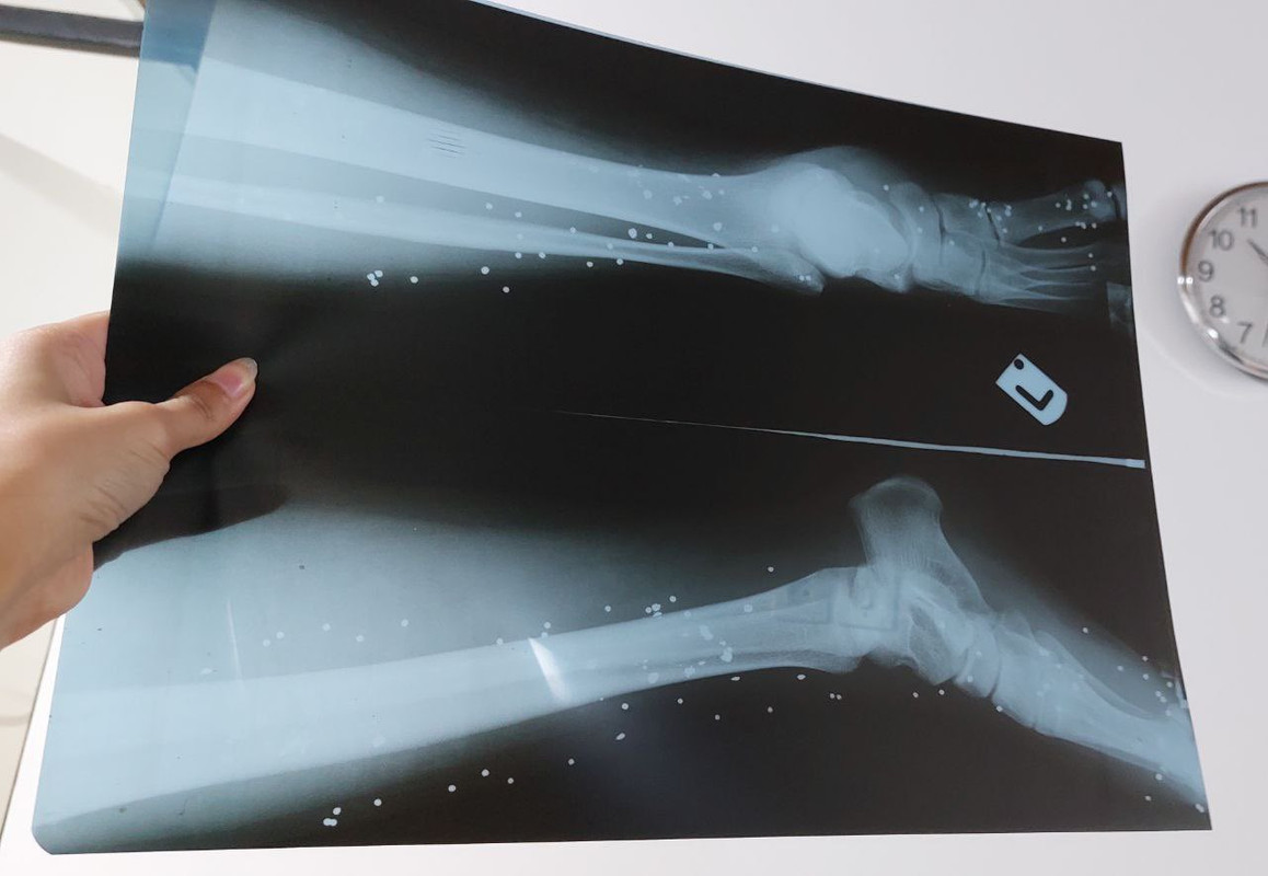 ۲۰۲۲۱۱۲۳_۲۲۳۱۱۸