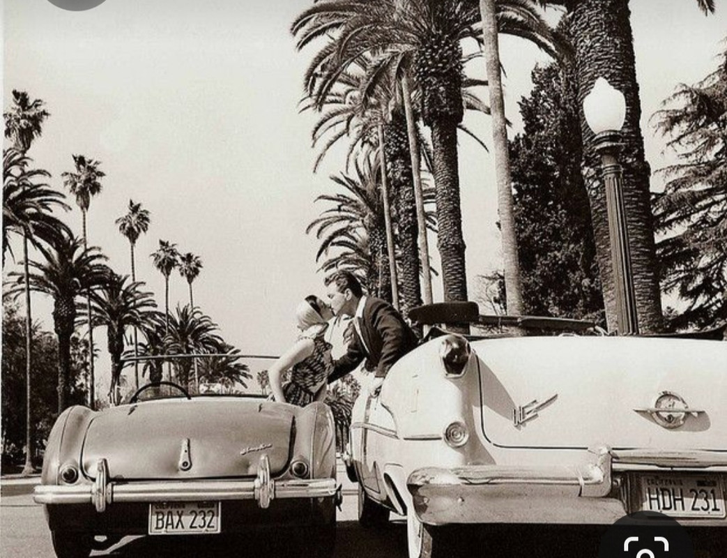 Screenshot_20230303_213752_Pinterest