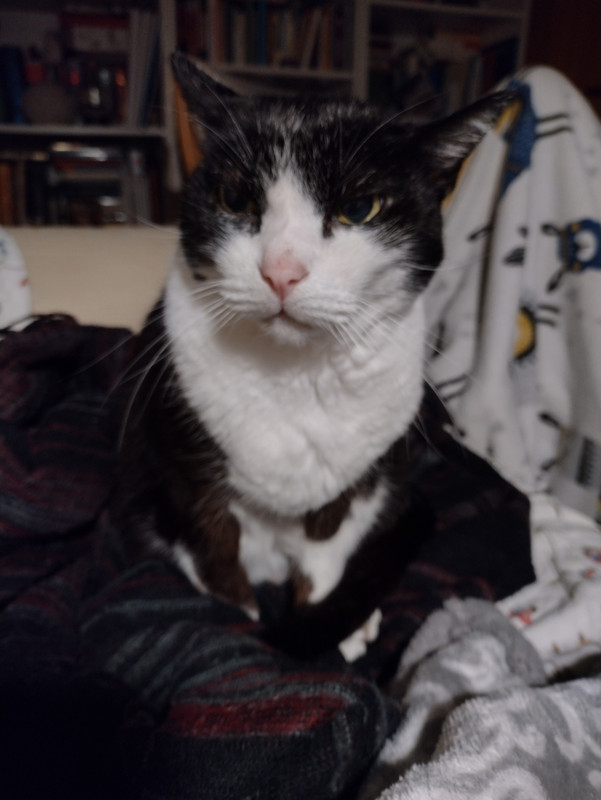 IMG_20221127_214543425_HDR