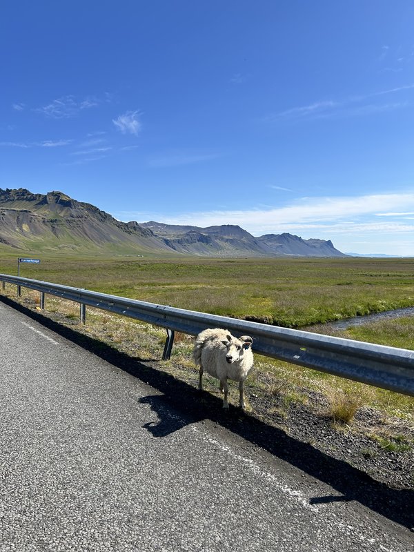 14/07/2025 TERMINAMOS SNAEFELLSNES Y NOS VAMOS A REYKHOLT EN BUSCA DE GLACIARES. - 2º Viaje a la Tierra del Hielo y Fuego de 21 días (en construcción, con videos) (5)