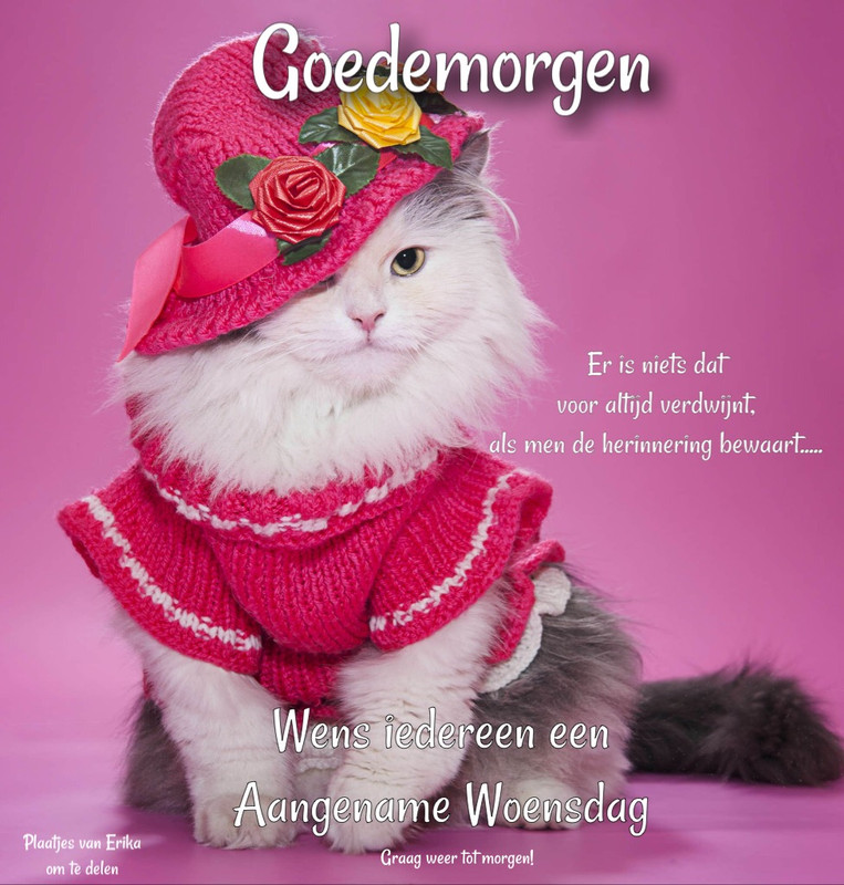 HTML leren