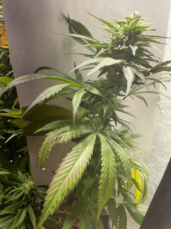 görsel 2026 03 05 181614276