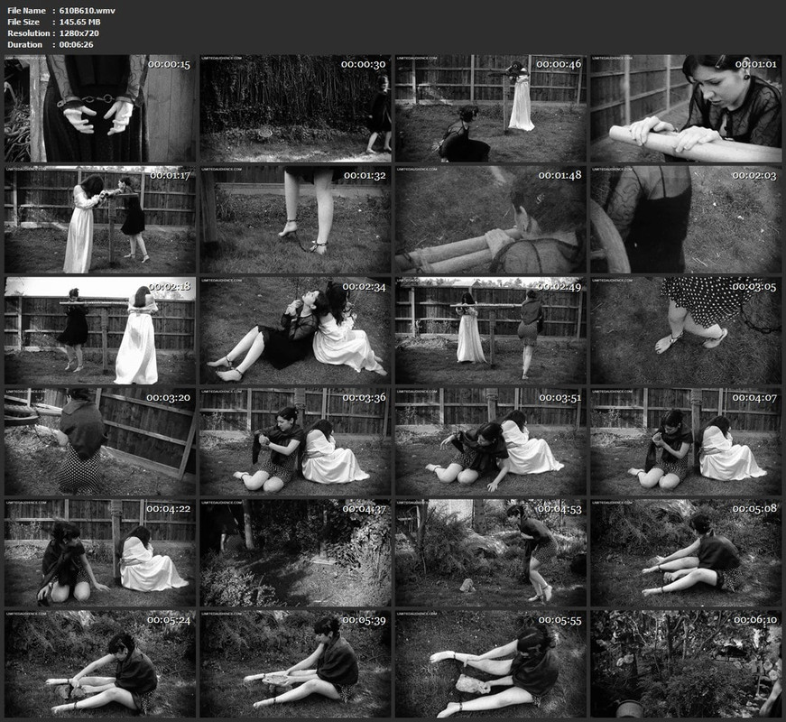 610B610.wmv