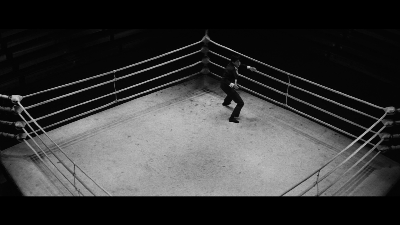 vlcsnap-2024-01-23-08h09m02s931