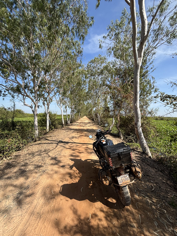 SR to Bttmb sand tracks
