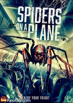 Spiders on a Plane (2024)
