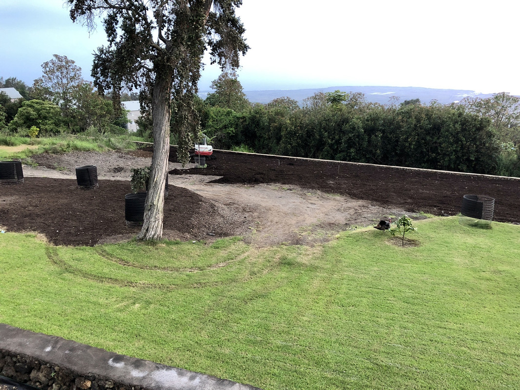 1ED50858-FC84-462E-8728-2DA6863E483F