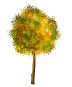 TADD_elements_Shimmer_Fall_86