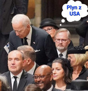 308053677_162718629715736_4835389459321269792_n