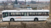 IMG-4661