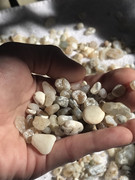 65614D10-7146-44D7-9D37-BAA3A6B871E2