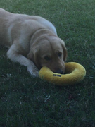 image_2023-02-02_230530633