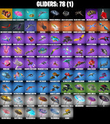 gliders-comp