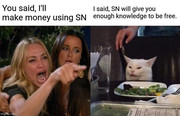 sn-make-money