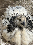 BCDA6402-D828-4B68-9DA2-01492E41C9A3