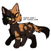 brown tortoiseshell with chimera