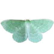 tumblr-06431df2f19090b27b7df02a479a8192-b96a8510-250