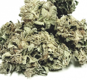 [Image: Bubbakush-1-510x465.png]