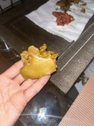 8A7E126D-85EA-44BC-A1DA-17E7235AE079