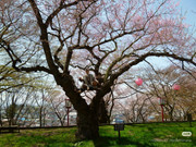 photo 16 2026 01 16 21 56 05