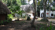 DSC01127