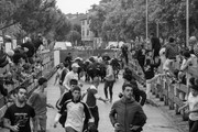 IMG-0008