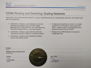 CCNA Routing and Switching : Scaling Networks