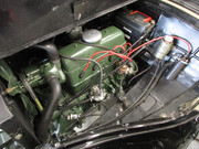 IMG-5385.jpg