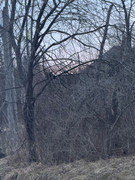 IMG-0860