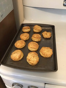 biscuit