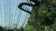 Cloud Forest 34